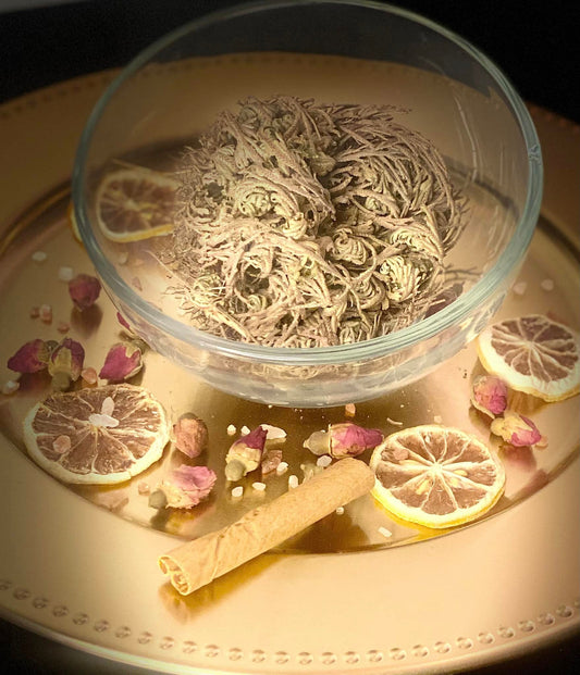 Rose of Jericho